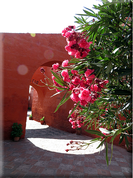 foto Monastero di Santa Catalina